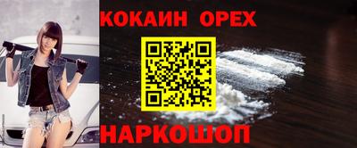 spice Новозыбков