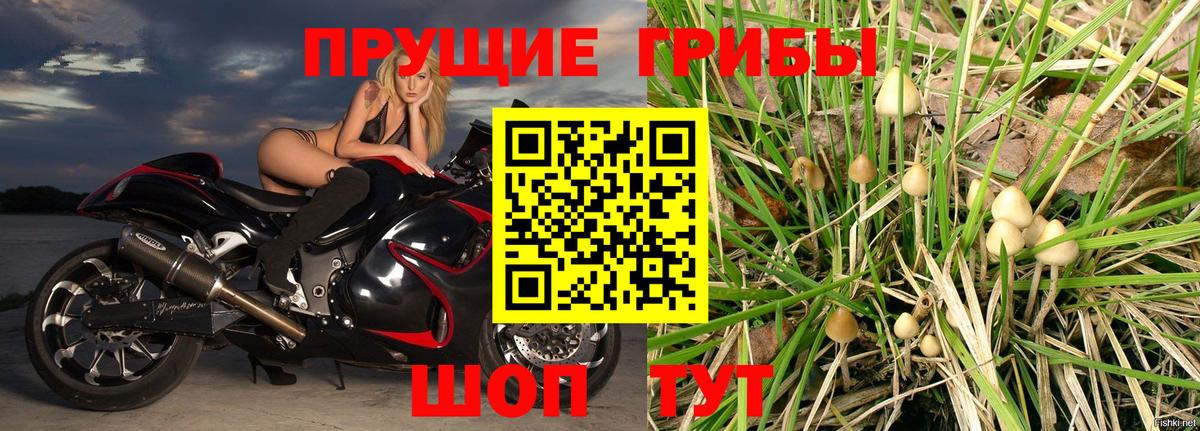 Галлюциногенные грибы прущие грибы  купить наркотики цена  Псилоцибиновые грибы Magic Shrooms  Таганрог  Вход с VPN 